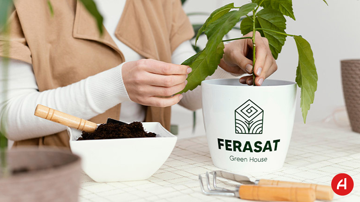 طراحی لوگو گلخانه | اصول طراحی لوگو گل، گل فروشی و گلخانه